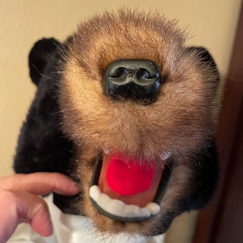 Realistic Grizzly Bear Adult Men’s Hat